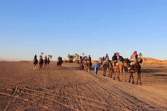 Tour image 4