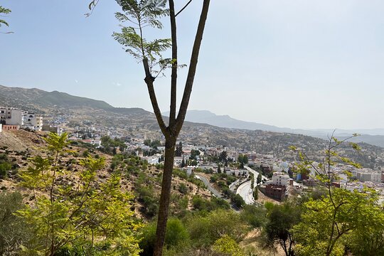 Tour image 6