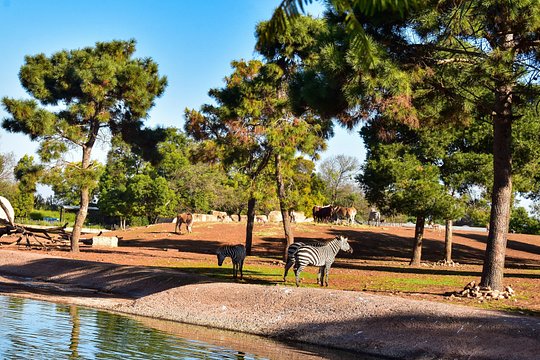 Tour image 2